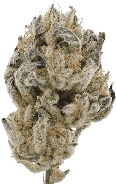 Grape Cream Cake image 1